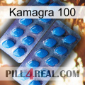 Kamagra 100 viagra2